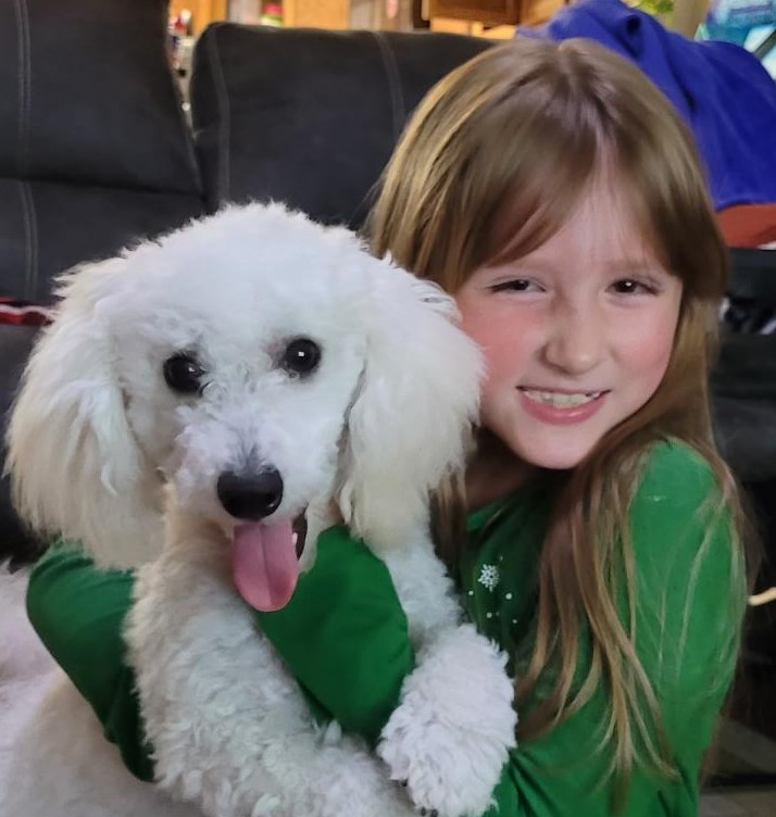A young child hugging and smiling at a poochon.