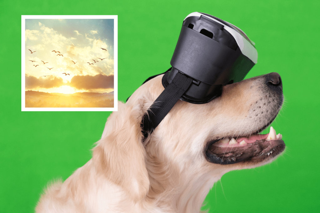 Revolutionizing Pet Care: The Top 10 Must-Have Tech Gadgets for Pet Owners in&nbsp;2023