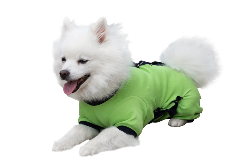 From Ruff to Recovery: Why Dog Recovery Suits Are the Perfect Solution for Post-Surgery&nbsp;Pups
