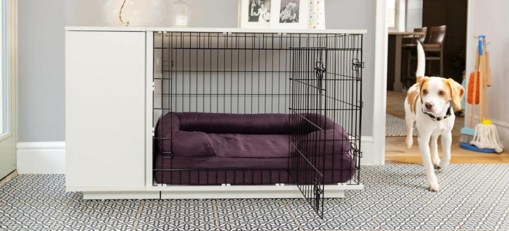 How to Get Your New Puppy to Sleep Through the Night: The Power of Crate&nbsp;Training