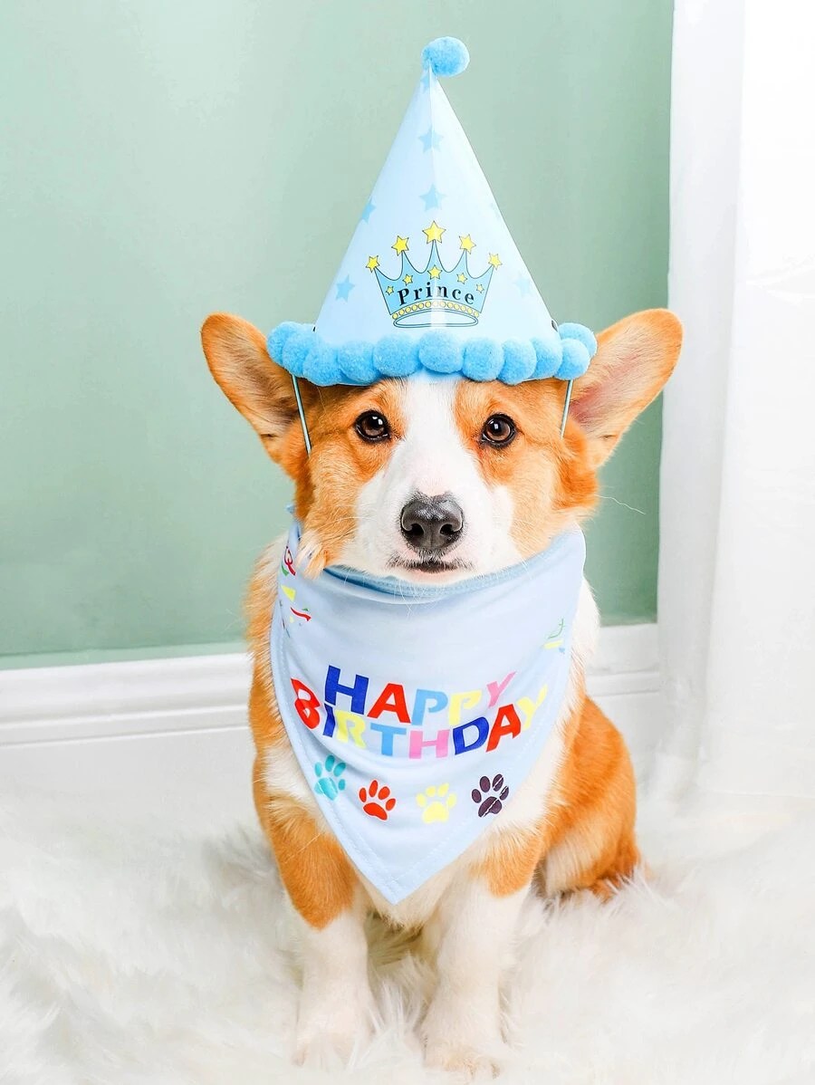 Brandon’s Birthday Bash: A Tail-Wagging Celebration of&nbsp;Life