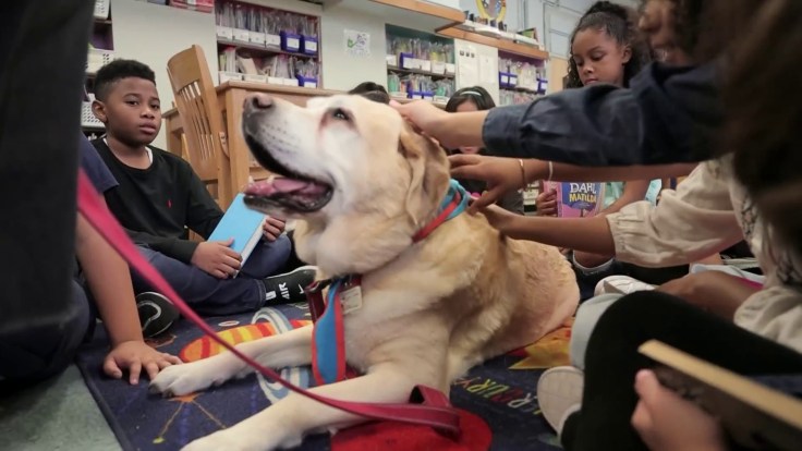A golden retriever service dog lying on the floor with two children sitting next to him