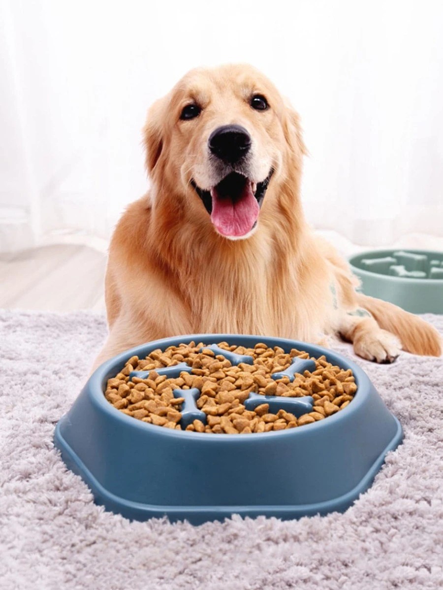 The Benefits of Slow Feeders for Dogs: Improving Health and Eating&nbsp;Habits