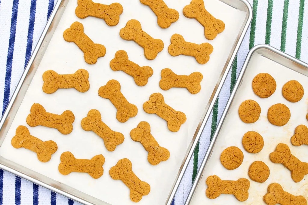 Healthy Treats for Happy Dogs: Homemade Recipes Included
