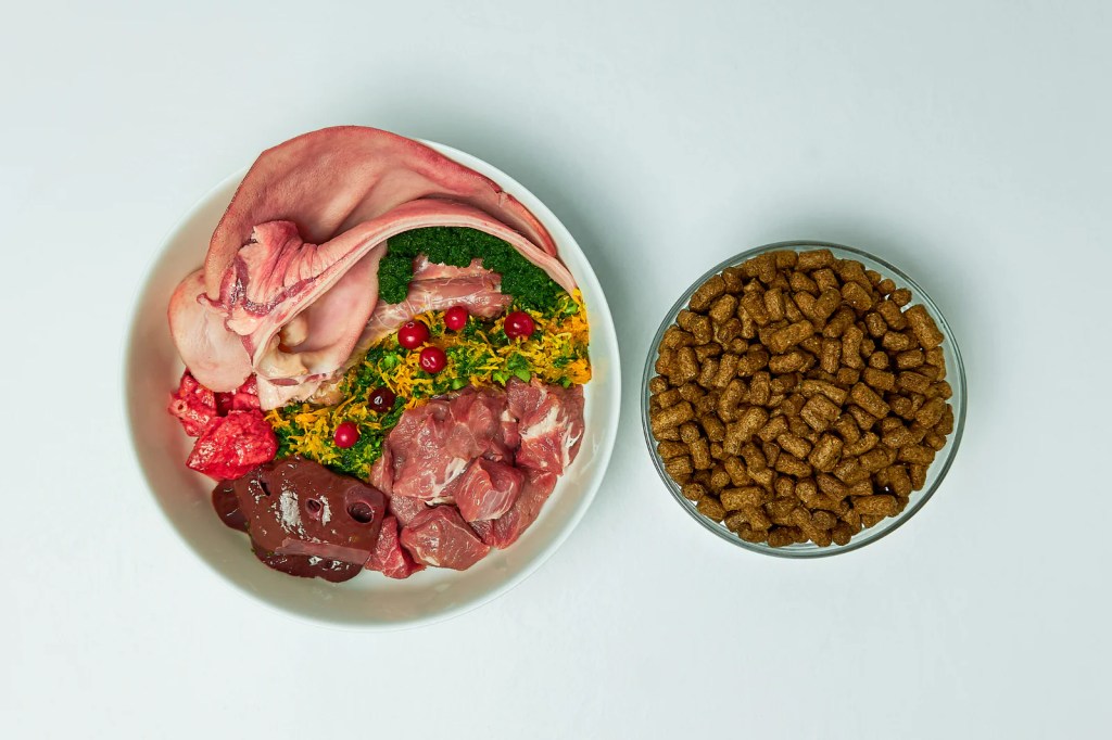 The Benefits of Raw Feeding for Dogs